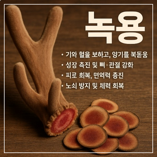 녹용