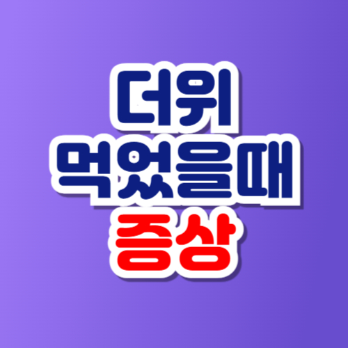 더위 먹었을때 증상