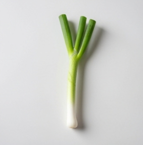 김장 쪽파 심는 시기