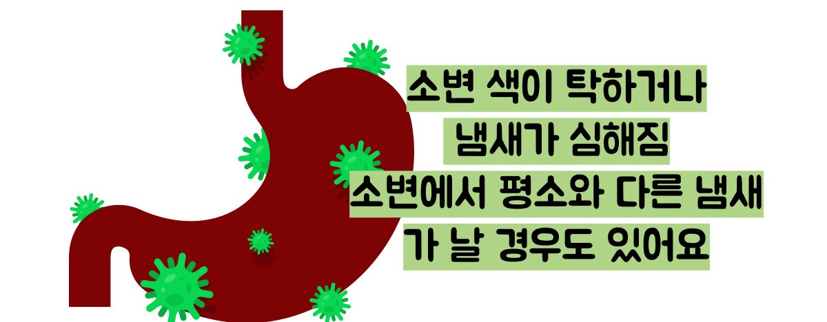 방광염 증상