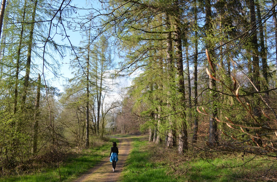 숲에서 피톤치드를 맡으며 산림욕을 하고 있는 여성