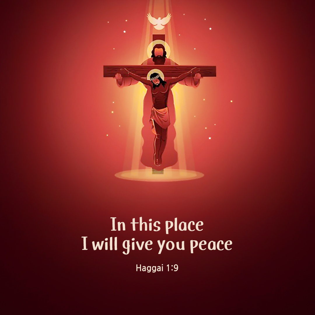 In this place I will give you peace. (Haggai 1:9) by pieonane Daily Bible quote image
