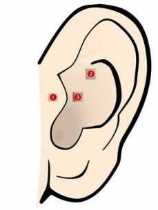 귀 혈자리 위치 지압법