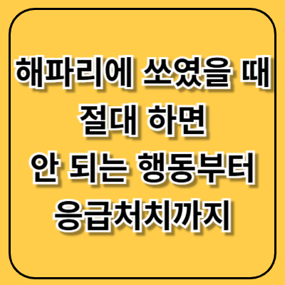 해파리에 쏘였을 때, 절대 하면 안 되는 행동부터 먼저 확인하세요