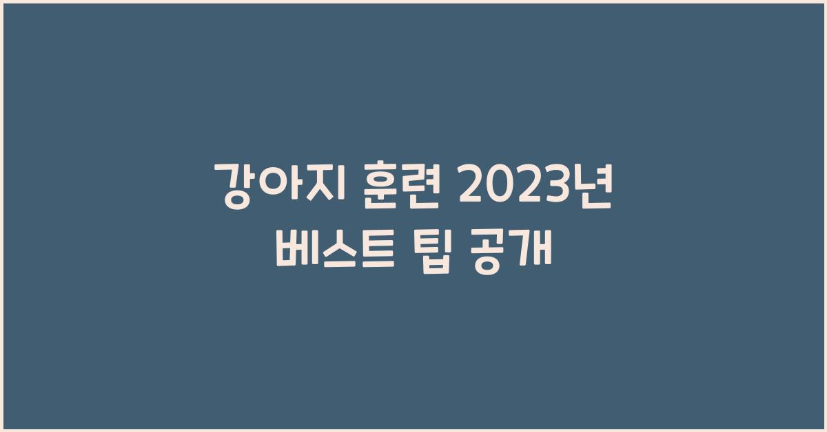 강아지 훈련