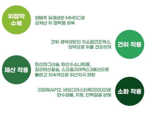 카베진-효능-효과