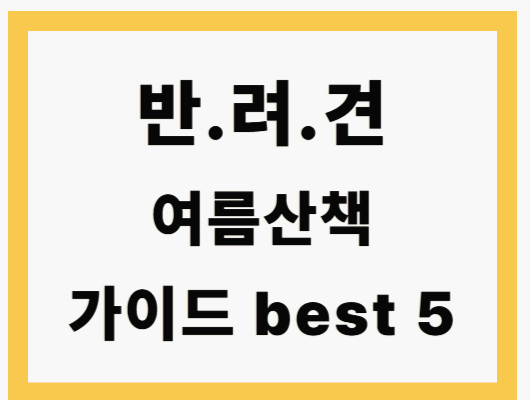 강아지 여름 산책