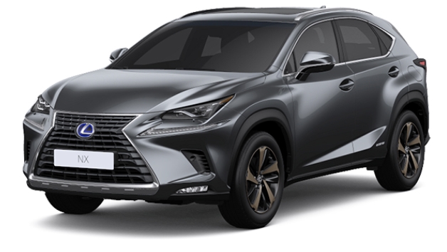 NX300h 색상코드 - MERCURY GRAY MICA(색상코드 : 1H9)