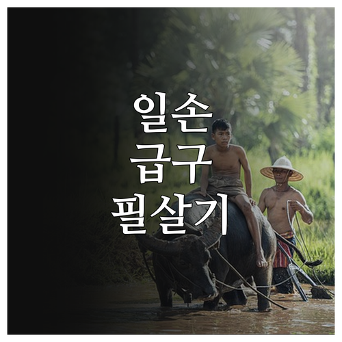 농가 일손 찾기 농촌일자리플러스 구인..