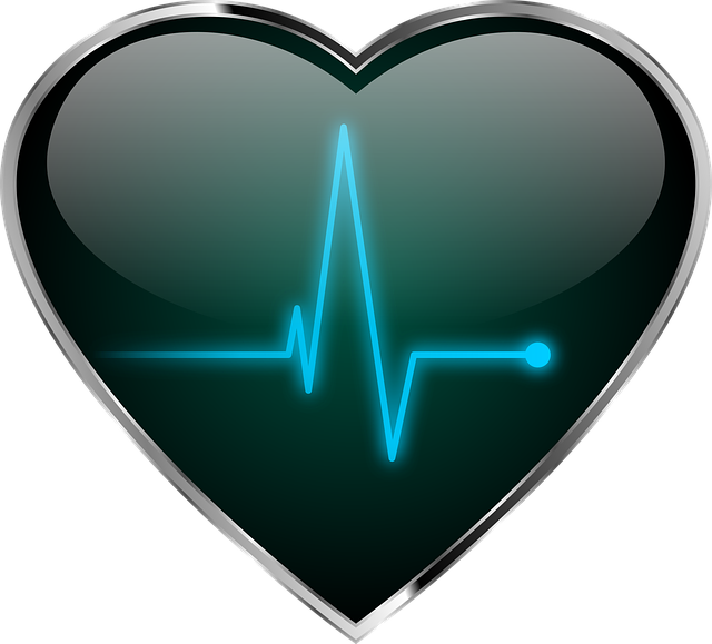 심장이 뛰는 과학적 원리