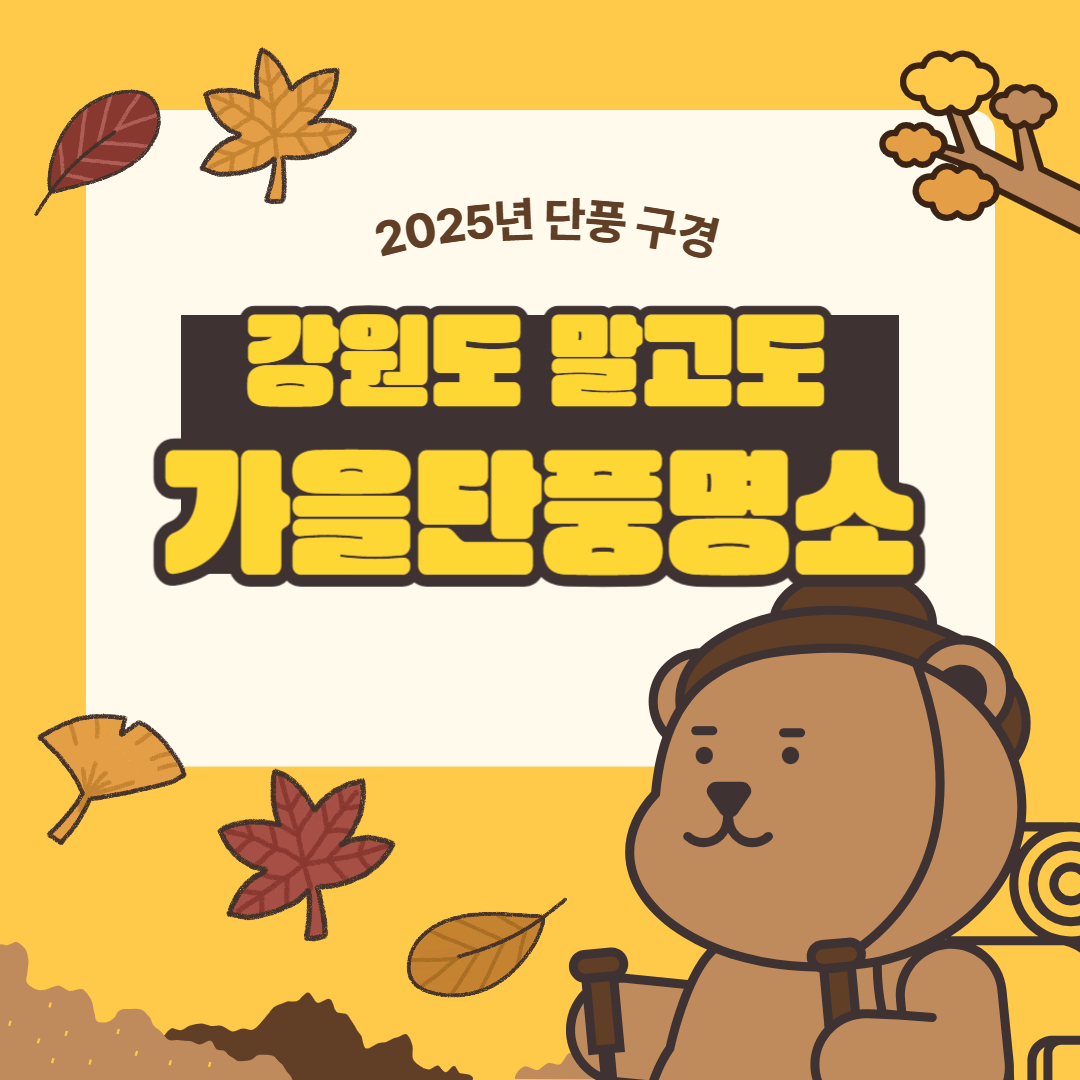 전국 단풍 구경 명소 5곳