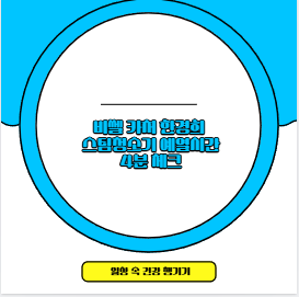 비쎌 카처 한경희 스팀청소기 예열시간 4분 체크