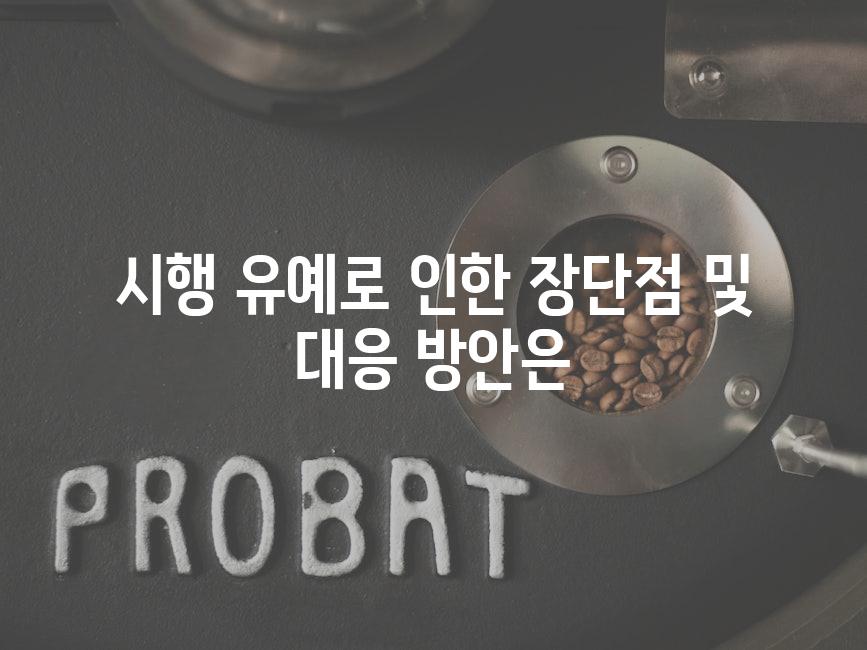 시행 유예로 인한 장단점 및 대응 방안은