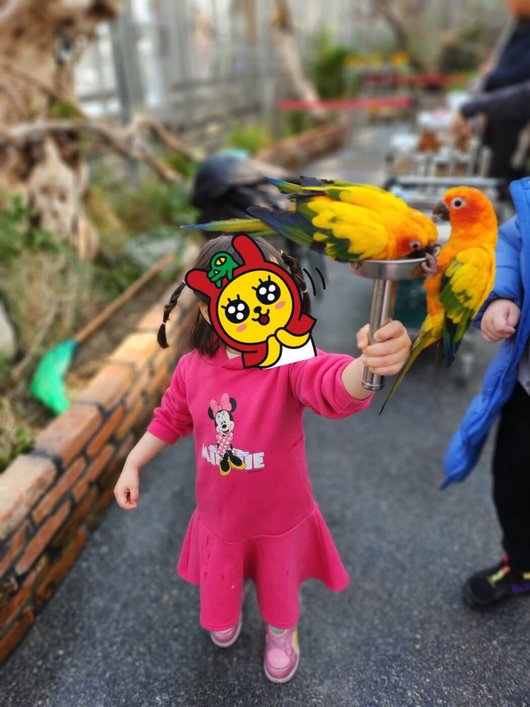 가평 베고니아 정원