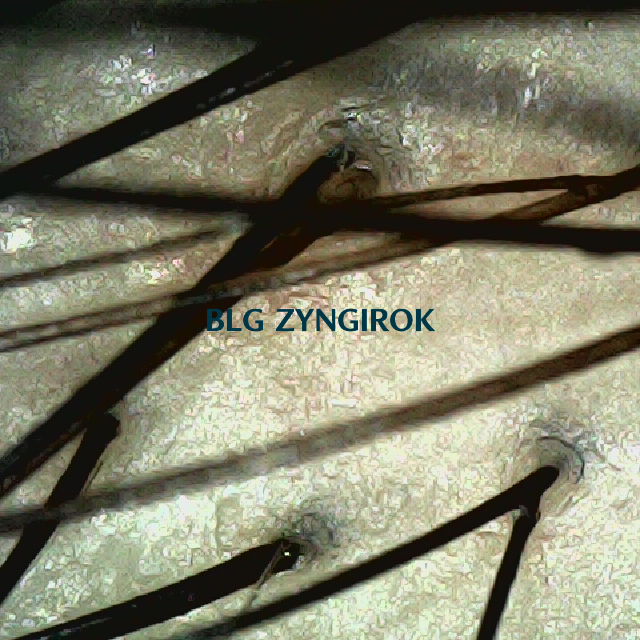 피나모아 복용 17주차 - 정수리 위치 모습이다.