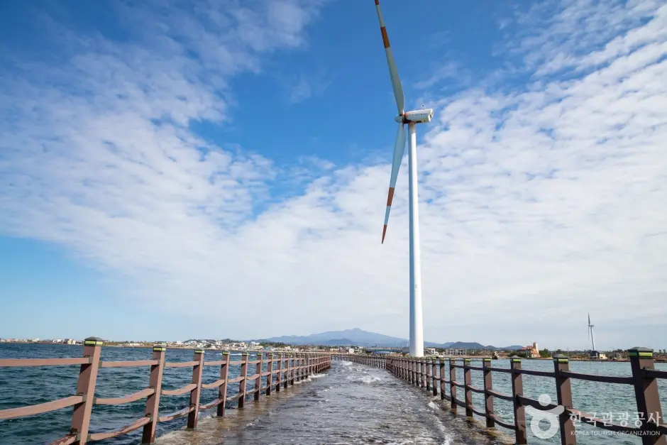 제주 신창 풍차 해안도로
