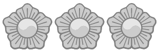 경찰계급 경정