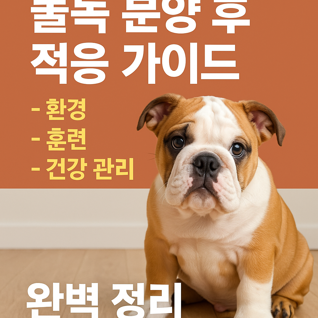 불독 분양 후 적응 가이드