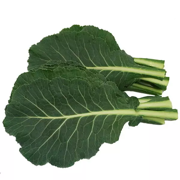 케일(Kale)