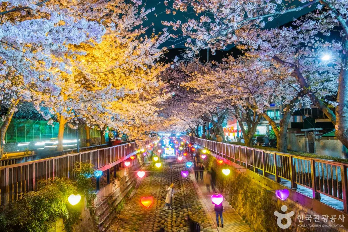 2025-벚꽃축제-벚꽃-개화시기-만개일-진해-군항제-야경