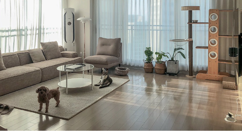 청년주택드림청약통장