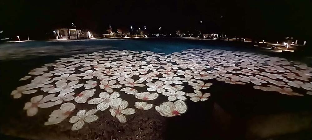 서홍동 서귀포칠십리공원