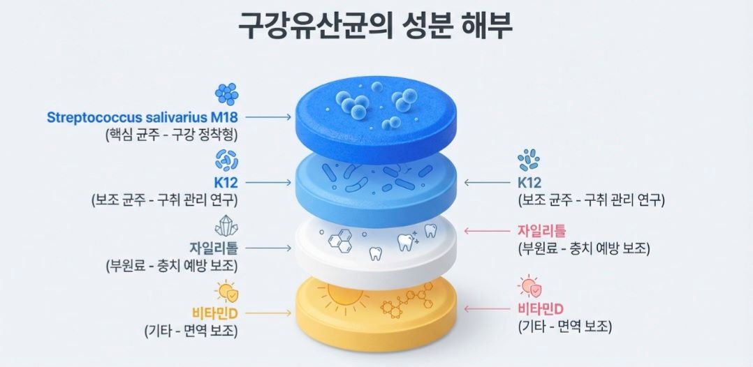 구강유산균-사진4
