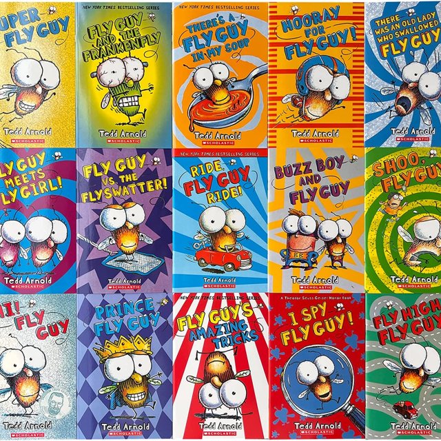 Fly Guy Series 커버 모음
