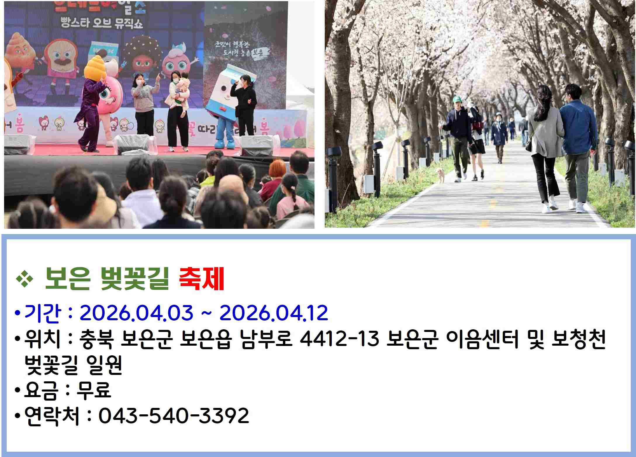 보은 벚꽃길 축제