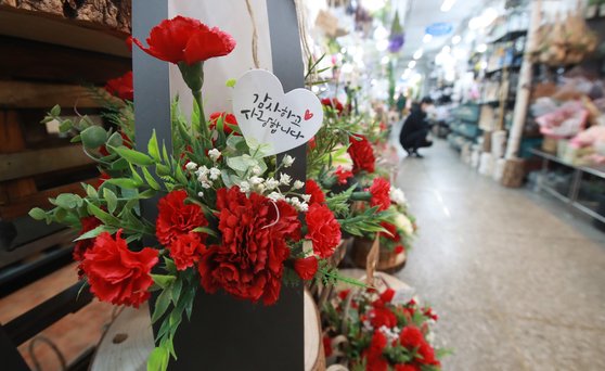 꽃, 카네이션, 감사카드, 꽃시장