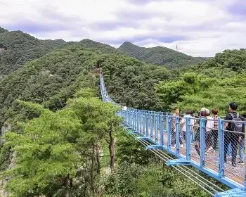 원주 소금산 그랜드밸리 출렁다리_11