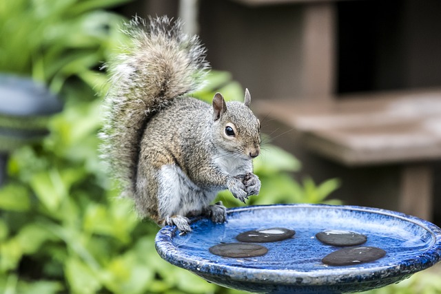 거북목 교정기: 제품 추천부터 효과와 사용법까지 완벽 정리