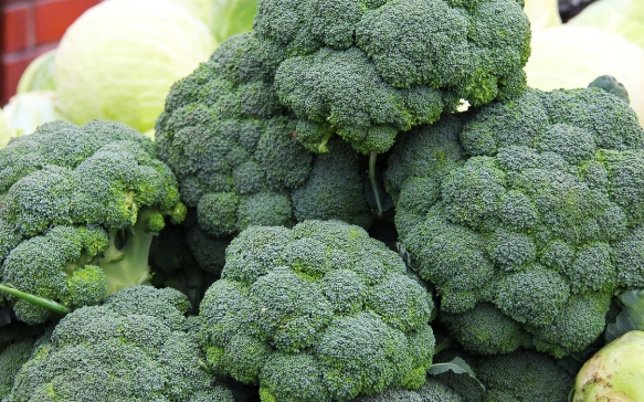 60대 치매 예방 식품, 이 5가지는 꼭 챙기세요