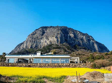 제주도 겨울 트레킹 명소 BEST 5&amp;#44; 한라산&middot;절물&middot;사려니&middot;비자림&middot;용머리해안 코스 정리