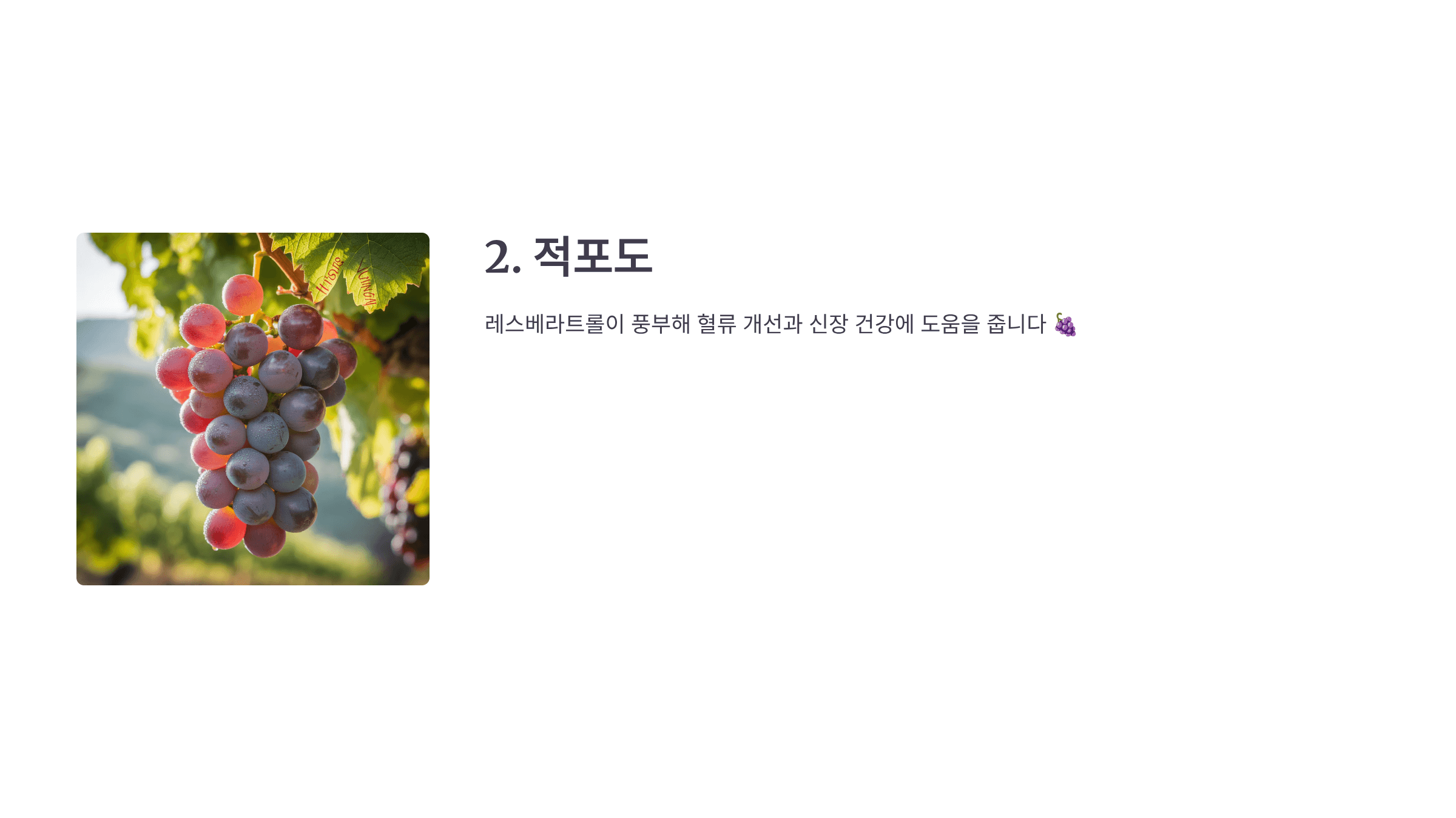 신장에 좋은 음식