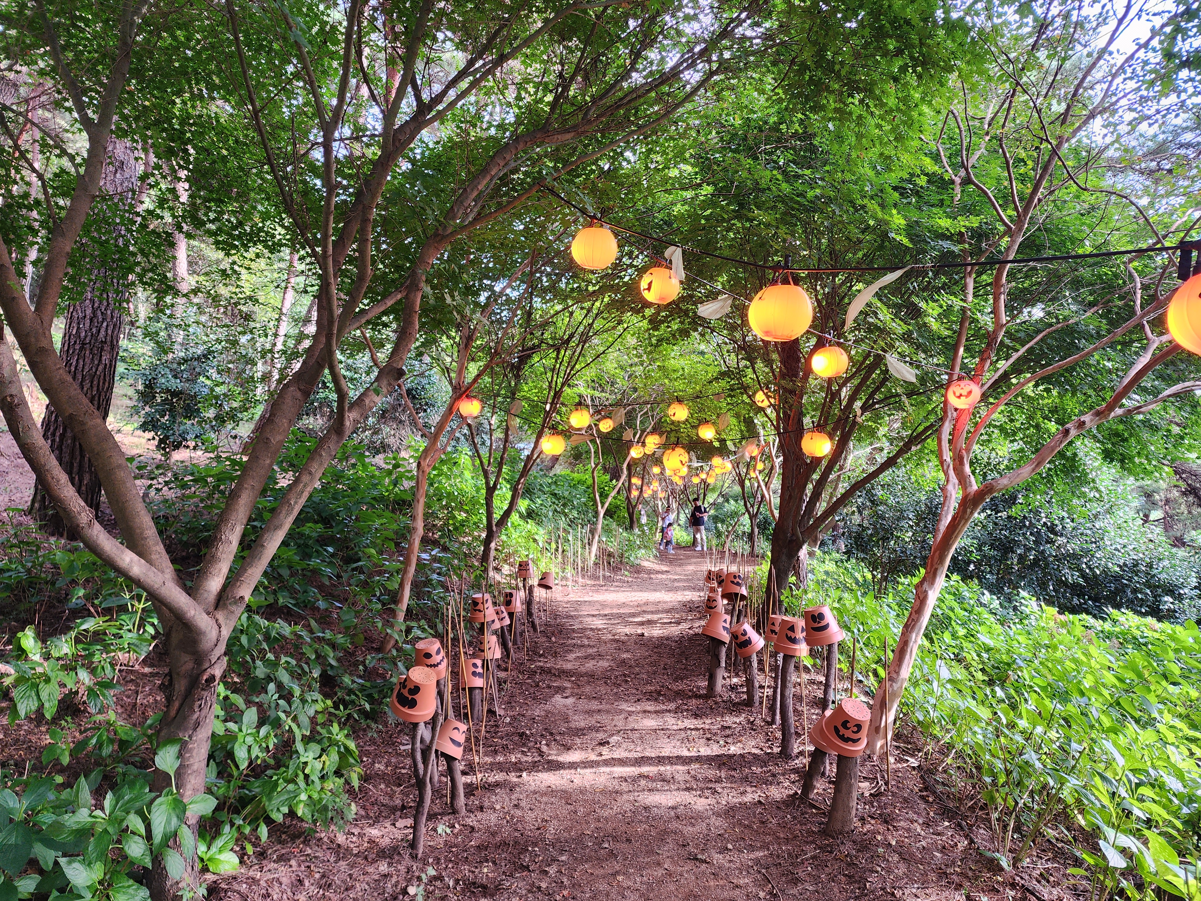 루몽드917 수목원