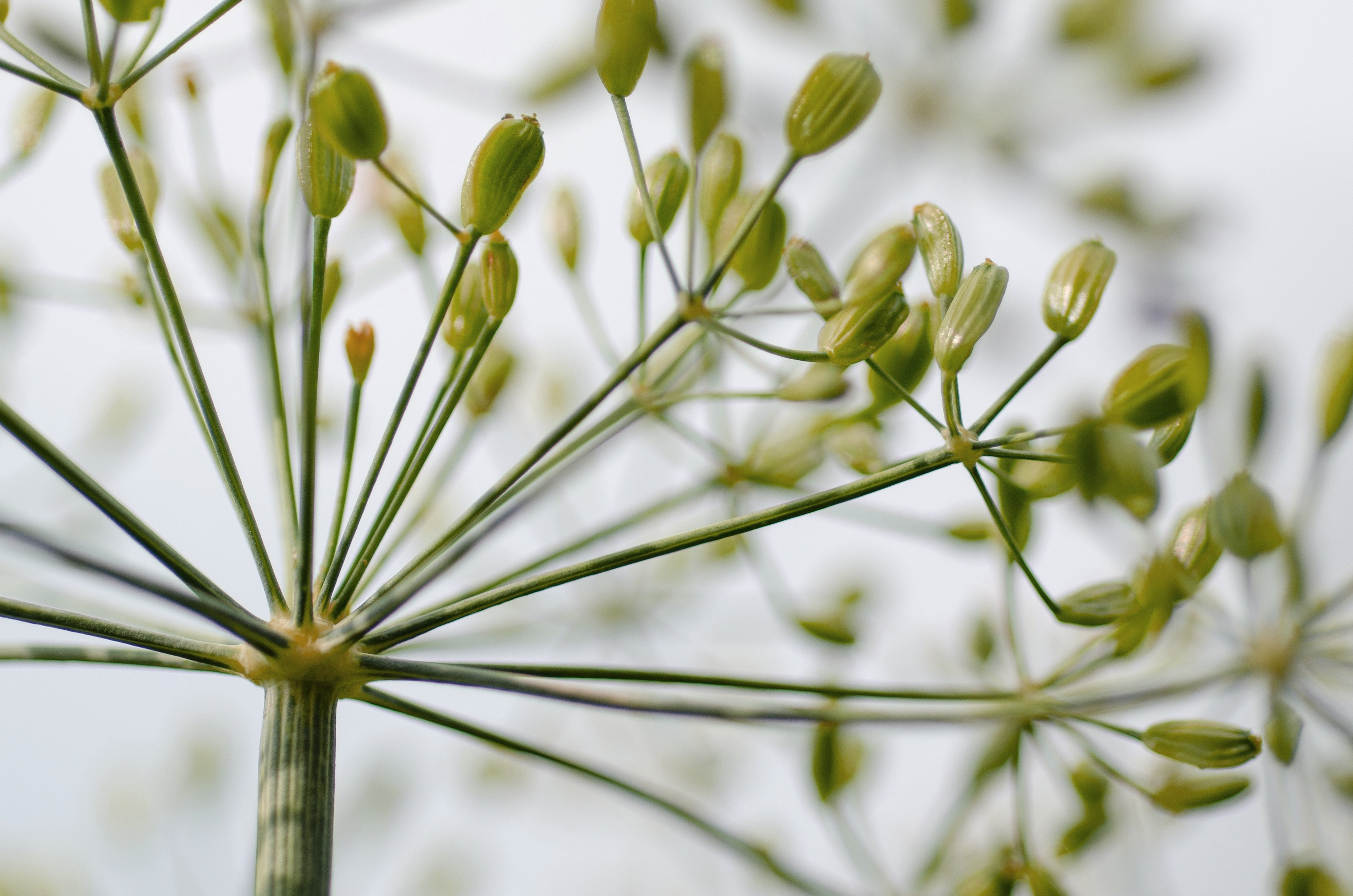 컴퓨터그래픽스운용기능사 필기