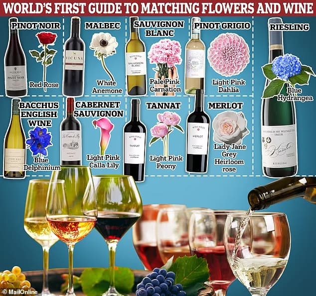 와인에 가장 잘 어울리는 꽃: 세계 최초 가이드 Scientists create the world's first guide to matching wine with FLOWERS