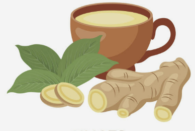 생강차 효능 먹는법 끓이는 방법 등 총정리(생강차 티백, 분말)