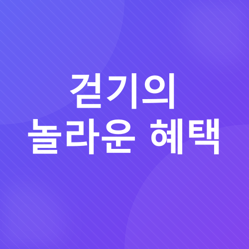 중년 걷기 운동_3