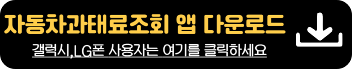 불법주정차 과속 속도위반 자동차 과태료 조회