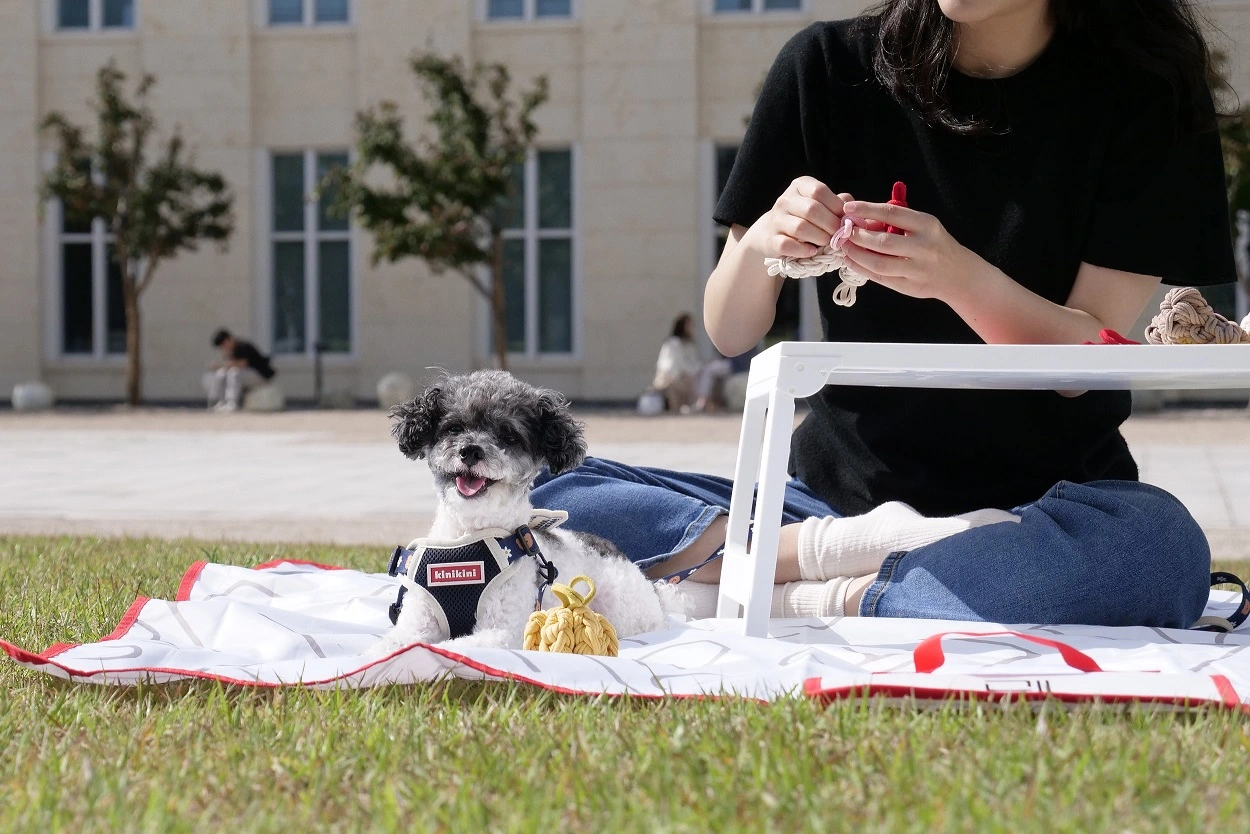 서울공예박물관 한글날 반려견 동반 펫크닉 프로그램 일정 시간 참가 신청 접수 방법 활동 내용