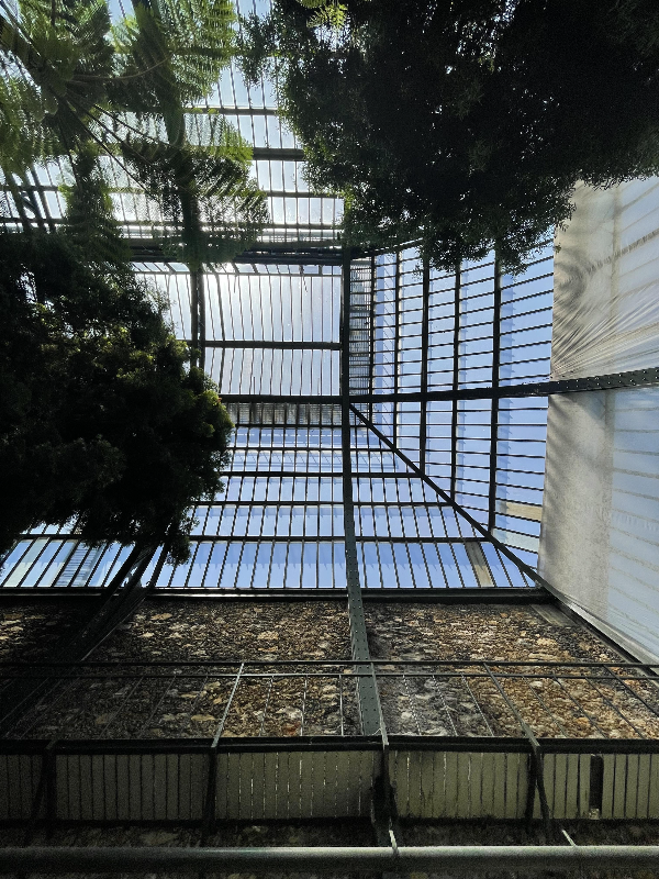 Serre de l'Histoire Des Plantes