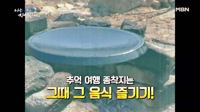 나는 자연인이다 부동산 투자 은퇴 후 추억의 솥뚜껑 토스트 감자전 어머니 레시피 머랭 빵 만드는 자연인 유민재 소개 및 이승윤 출연 546회 다시보기