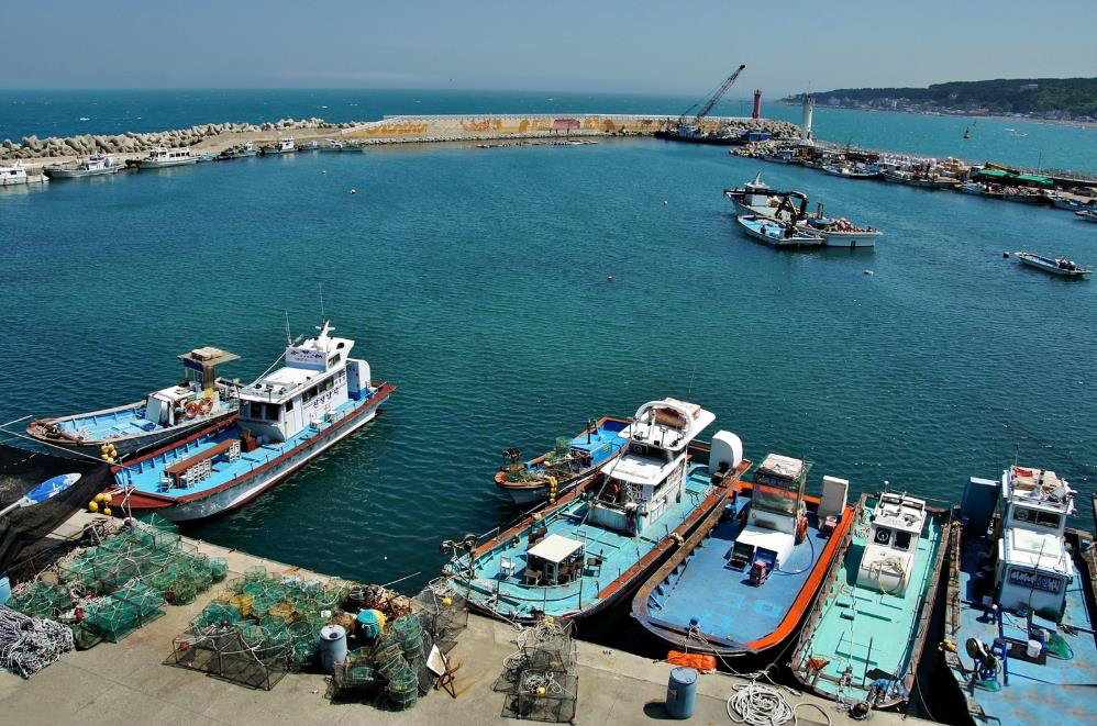 전촌항&amp;#44; 전촌솔밭해변 
