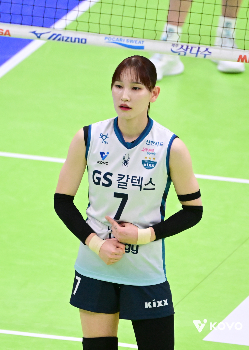 안혜진 배구선수 혈중알코올농도 면허정지 중징계