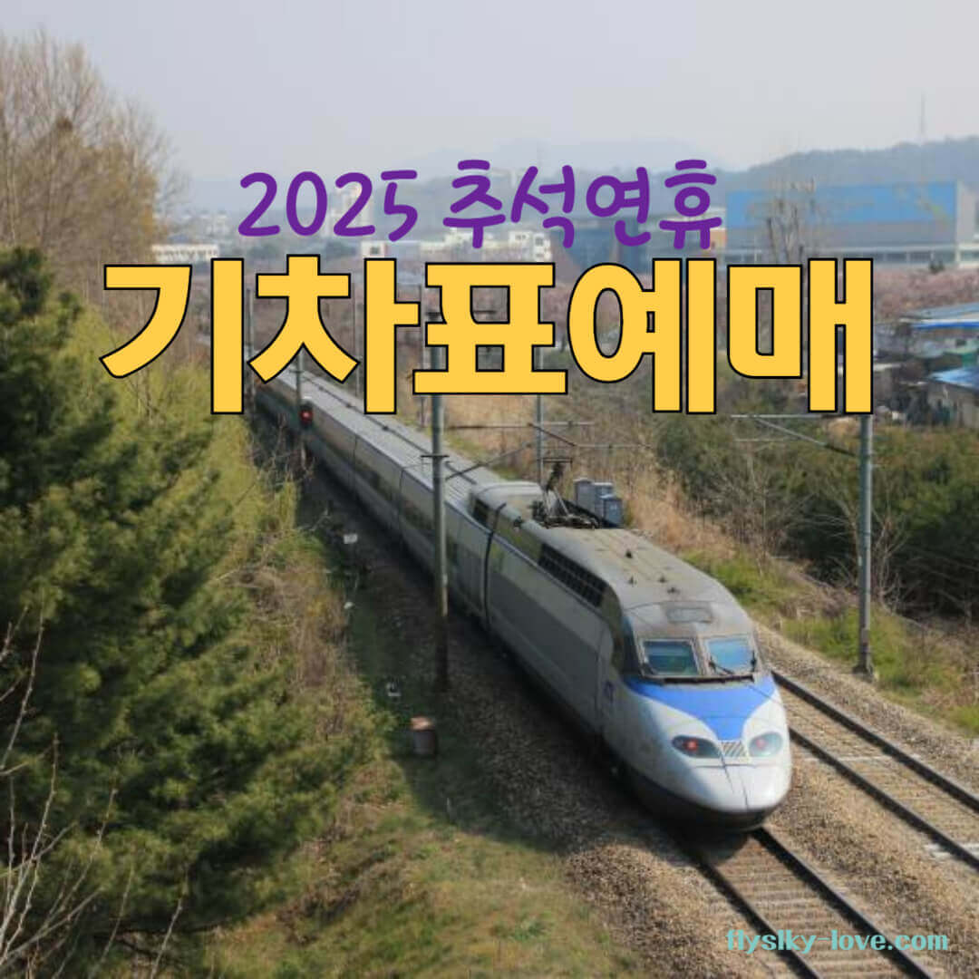 예매 전날&amp;#44; 반드시 준비해야 할 필승 체크리스트