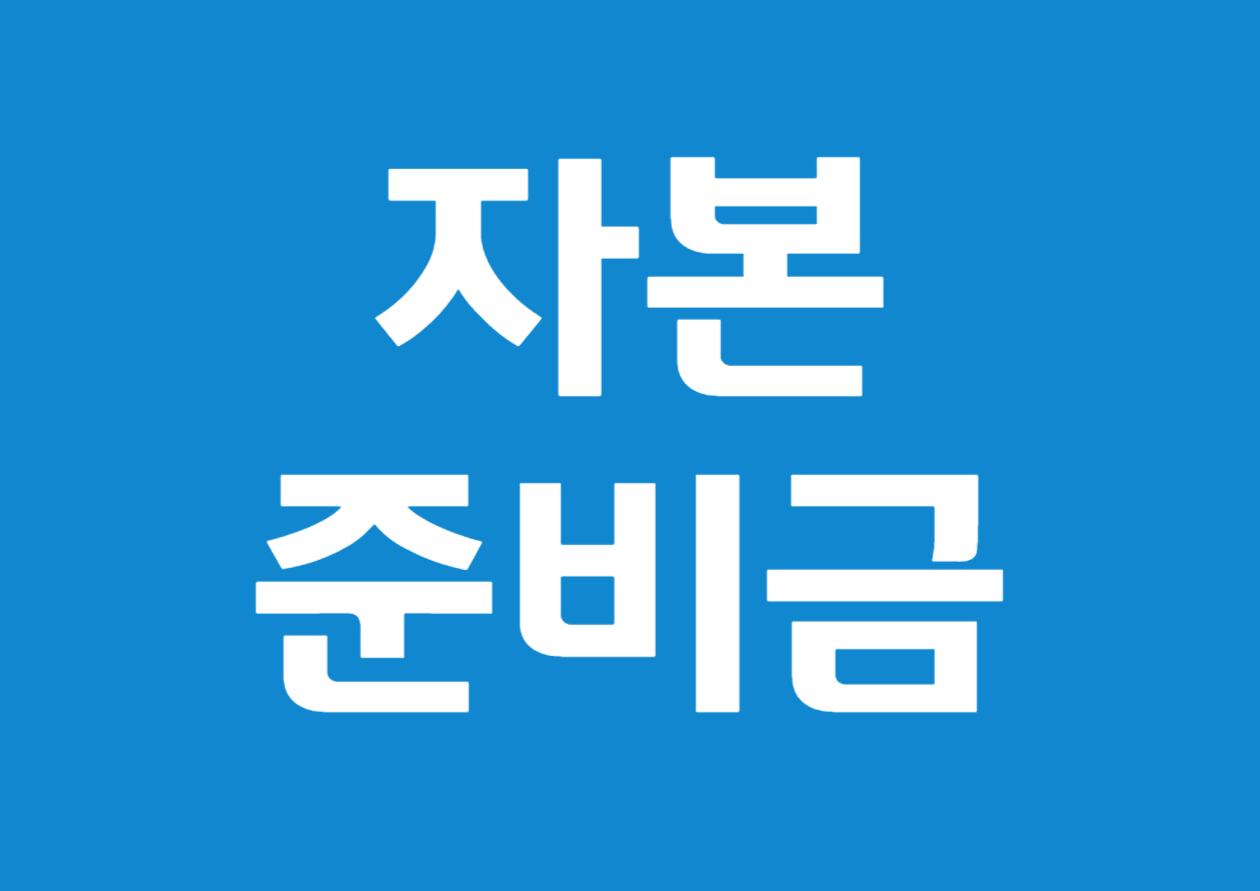 자본준비금의 정의와 활용 방안 예시를 통해 쉽게 이해하기