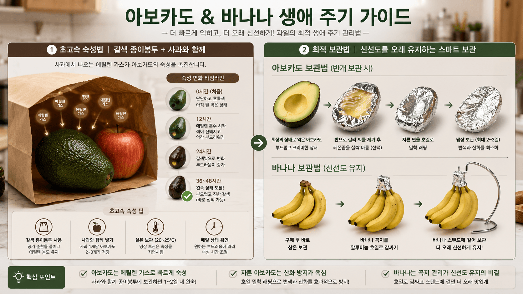 아보카도 바나나 생애주기 가이드 이미지