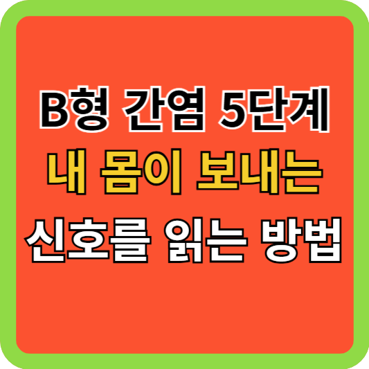 B형 간염 5단계, 내 몸이 보내는 신호를 읽는 방법